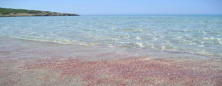 Affittacamere la Medusa Porto Pino Esterno foto