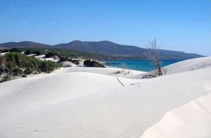 Affittacamere la Medusa Porto Pino Esterno foto